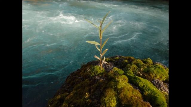 Не привыкайте к чудесам смотреть онлайн