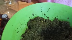 Заготавливаем чистотел и чесночные стрелки!