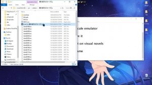 How to use locale emulator on visuals novel
