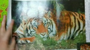 Алмазная вышивка/мозаика 💖 И куда же девать остатки страз? Выход есть 👌🤗