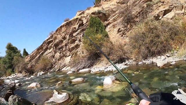 Ловля ручьевой форели в Узбекистане
