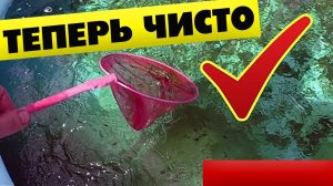 Зацвел бассейн, как очистить бассейн от зелени