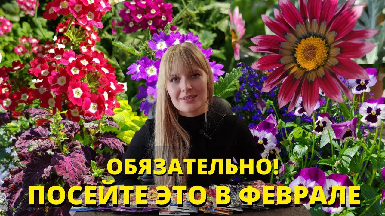 Что ПОСЕЯТЬ В ФЕВРАЛЕ? ЛУЧШИЕ растения ДЛЯ ВАШЕГО САДА! БОЛЬШОЙ ОБЗОР!