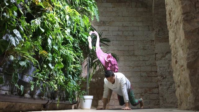 Shanti Vida x Desigual. Power Vinyasa with Fran