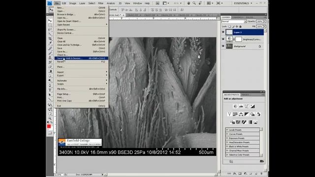 Using Photoshop on SEM Images смотреть онлайн