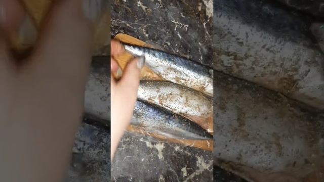 Соленая скумбрия.?Самый простой и вкусный рецепт.???