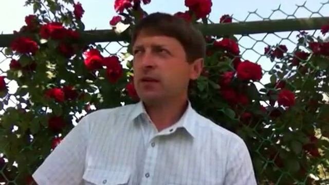 Как привлечь деньги. 3 шага к привлечению денег и увеличению дохода