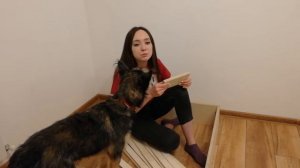 Модульный диван своими руками. КАРКАС ИЗ ФАНЕРЫ. Часть 1