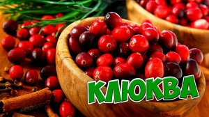 Польза и вред вяленой клюквы_Ягода от 100 недугов