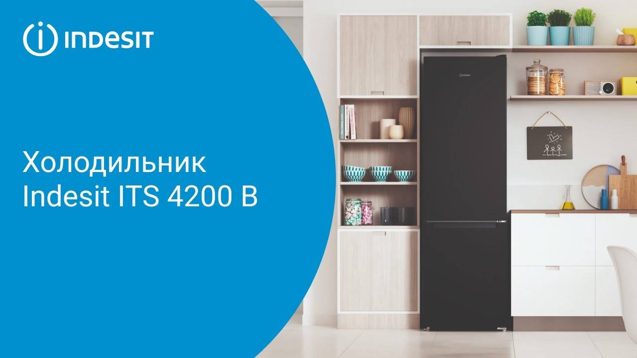 Холодильник Indesit ITS 4200 B - обзор модели