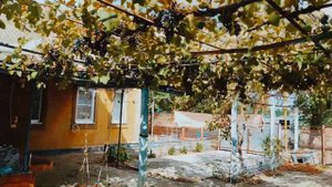 Продаю дом - станица Бриньковская