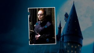 Кого Волдеморт Берёт в Пожиратели Смерти?