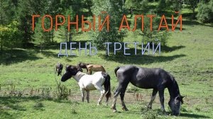 Алтай. Путешествие на машине. Одиннадцать дней дикарями. День третий.