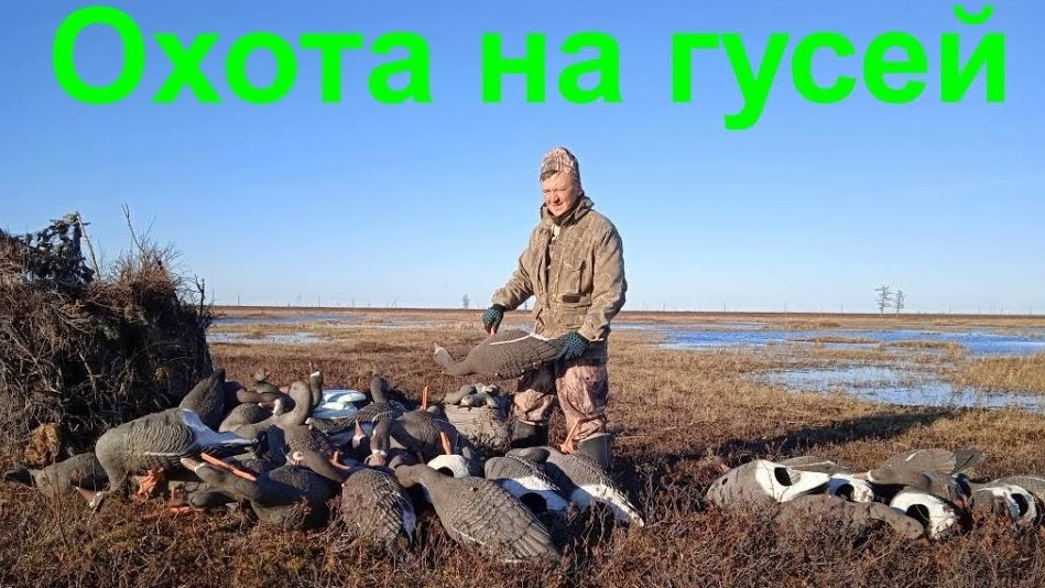 ОХОТА НА ГУСЕЙ 2021. Серия 8/Goose hunting 2021. Series 8 смотреть онлайн