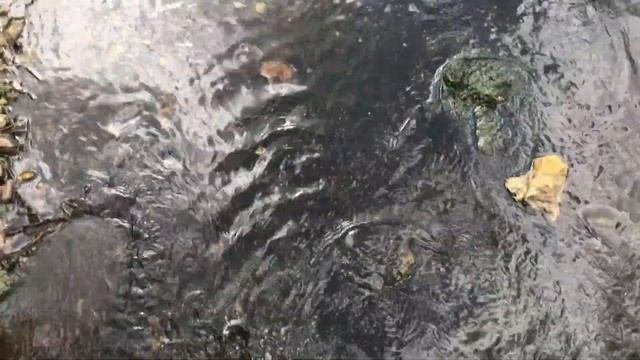 Тосненский (Гертовский) водопад Саблинский памятник природы Ленинградская область