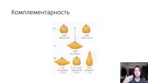 Виды взаимодействия аллельных и неаллельных генов