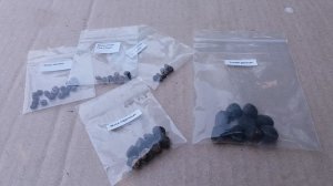 Как вырастить банан из семян