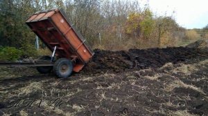 Вывозим органику в бурт. Осень 2021 г. МТЗ-80 и 1-птс-2, МТЗ-80 ПКУ-0.8