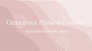 О настройке Магии пчел «Сила пчел Луны и Солнца»