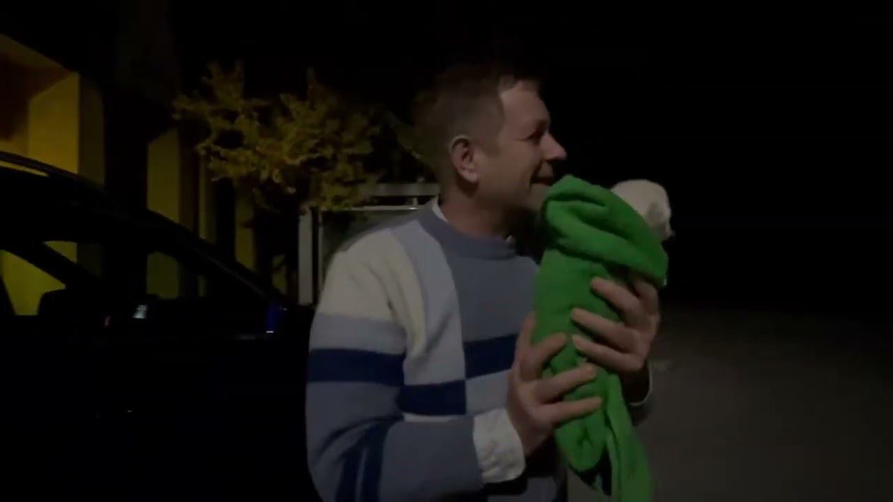 Белая львица сделала подарок директору «Тайгана» к его освобождению смотреть онлайн