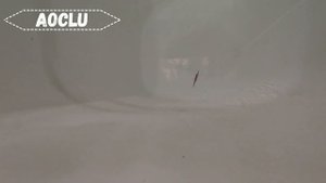 Воблеры на ЖЕРЕХА Tsurinoya и Aoclu (РОЗЫГРЫШ ВОБЛЕРОВ)