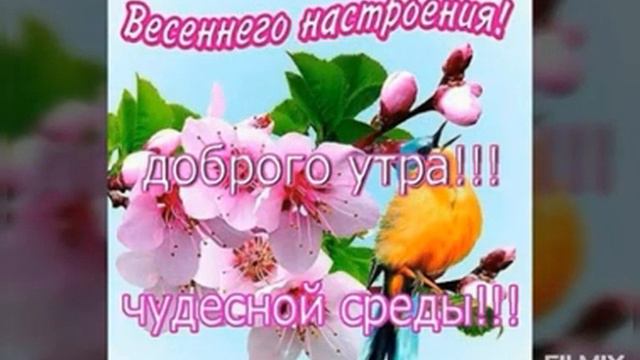 Счастливой среды, весеннего настроения 10302 (0.30) смотреть онлайн