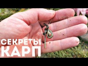 Хитрые советы по ловле карпа в августе сентябре. Такой информации больше нет нигде.
