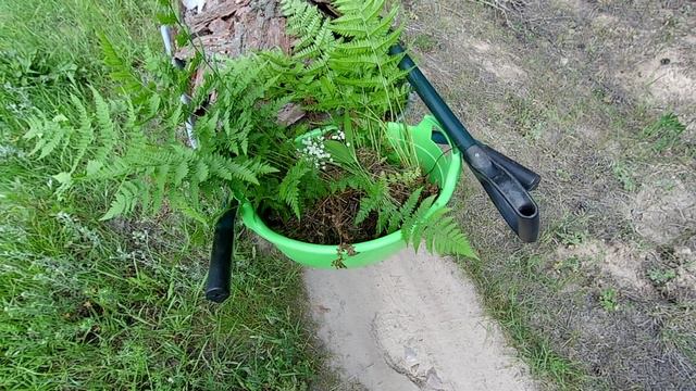 Всё в порядке, супер гуд I Переезжаем на Rutube