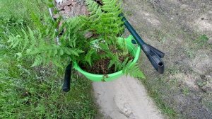 Всё в порядке, супер гуд I Переезжаем на Rutube