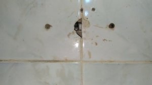 Неполадка с проводкой! Подключение светильника к алюминиевой проводке.