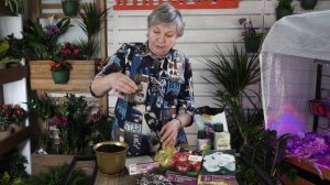 Глоксиния  ? Многолетнее комнатное растение ? Посадка и Уход Советы От Хитсад ТВ