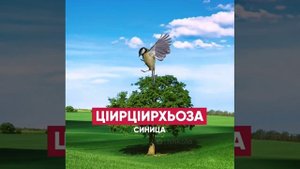 Олхазарийн цIерш ? Названия птиц на чеченском языке