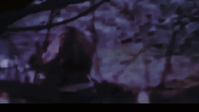 ТОП СУМАСШЕДШИХ БИТВ ЖИВОТНЫХ СНЯТЫХ НА КАМЕРУ смотреть онлайн