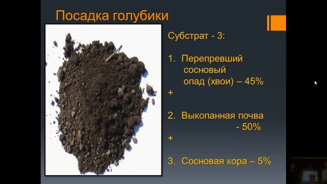 Выращивание голубики садовой смотреть онлайн