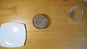 ? ПРОРАЩИВАНИЕ СЕМЕЧЕК ПОДСОЛНУХА (очищенных) | Простой способ проращивания семян подсолнечника