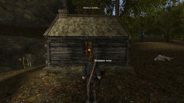 Готика2НВ.Мод Возвращение Героя.Часть 17.Вступление в охотники.Клык.Сагитта.Мракорис Игнаца. смотреть онлайн