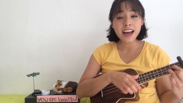 Beautiful - Christina Aguilera ukulele cover