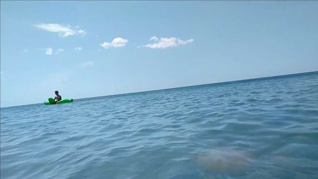 #Мои_комнатные_растения_2021 // СОЛНЦЕ, МОРЕ, Дочка // Подарки от дочки смотреть онлайн