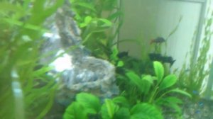 водопад в аквариуме своими руками