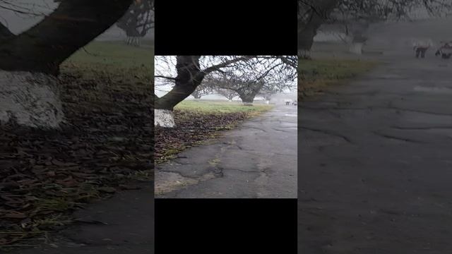 паз 3203 маршрут 8 смотреть онлайн