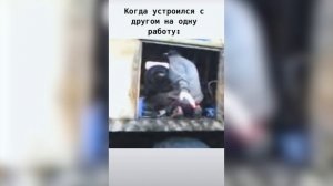 Когда устроился с другом на одну работу: