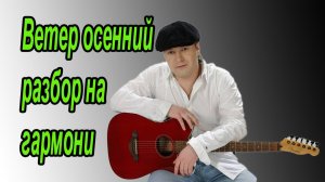 Ветер осенний Петлюра // разбор на гармони