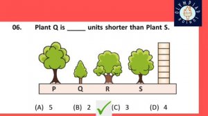 What questions are asked in Olympiad exam?