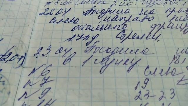 Томат МЕДВЕЖЬЯ ЛАПА в моей коллекции. ФОТО.