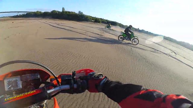 Злые жабы в деле смотреть онлайн