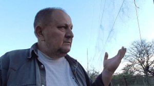 обзор орнитологической сети от Владислава Ратникова