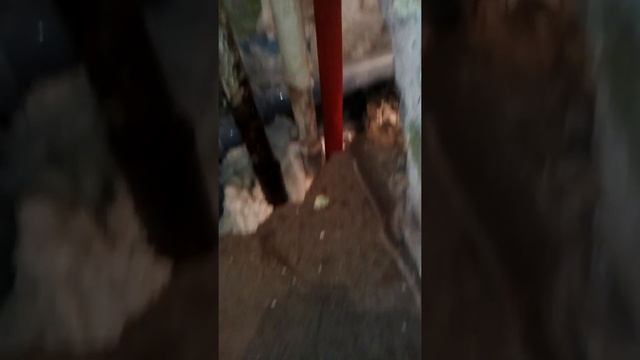 Сантехника брежневки