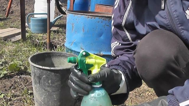 Обработка весной Клубники Медным Купоросом смотреть онлайн