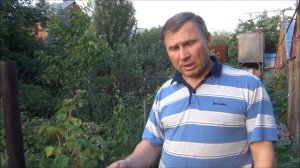 ВРЕДИТЕЛИ на МАЛИНЕ. Способы борьбы БЕЗ ХИМИИ (Малиновые МУХА, ЖУК, ДОЛГОНОСИК и ГАЛЛИЦА)