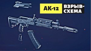 АК-12. Взрыв-схема. Как устроен новейший автомат Калашникова?